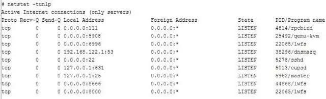 linuxpid查询占用端口,linux端口占用怎么查