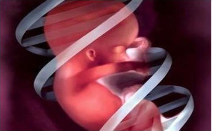 脐带异常为啥引起窒息,脐带过度螺旋呈麻花状