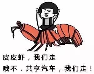 南充都有哪些共享汽车,南充共享汽车收费标准