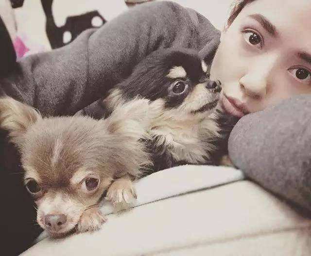 郭碧婷不争不抢综艺,郭碧婷才是最大的赢家