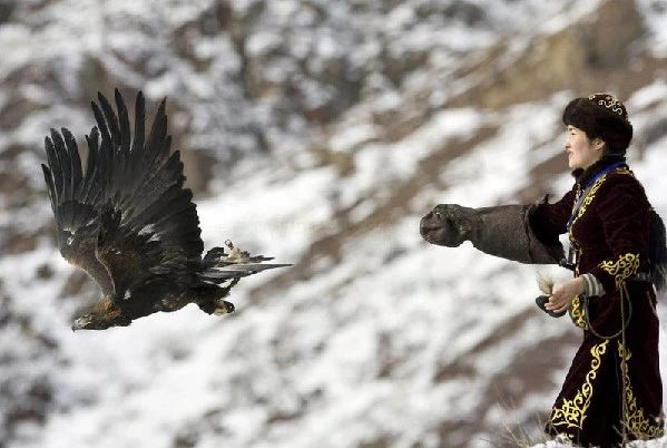 *疆新**阿合奇县：相守4000年的约定，委屈了自己，也不能饿着鹰