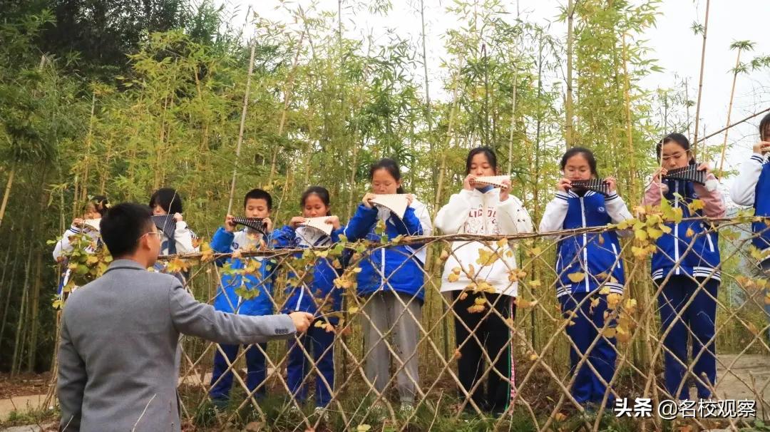 多彩社团助力学生快乐成长,双减之后丰富多彩的社团活动