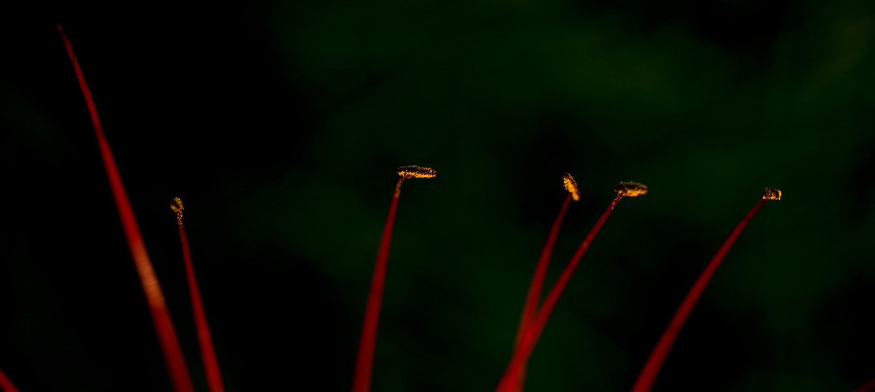 关于二手设备的问题,关于二手东西