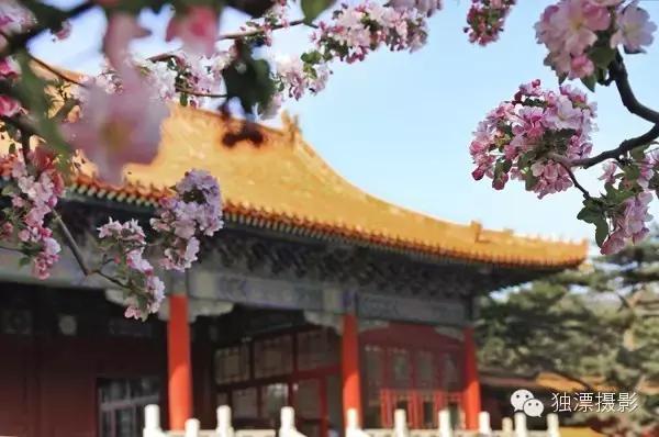 北京昌平区旅游必去十大景点推荐,昌平周末游玩推荐景点攻略