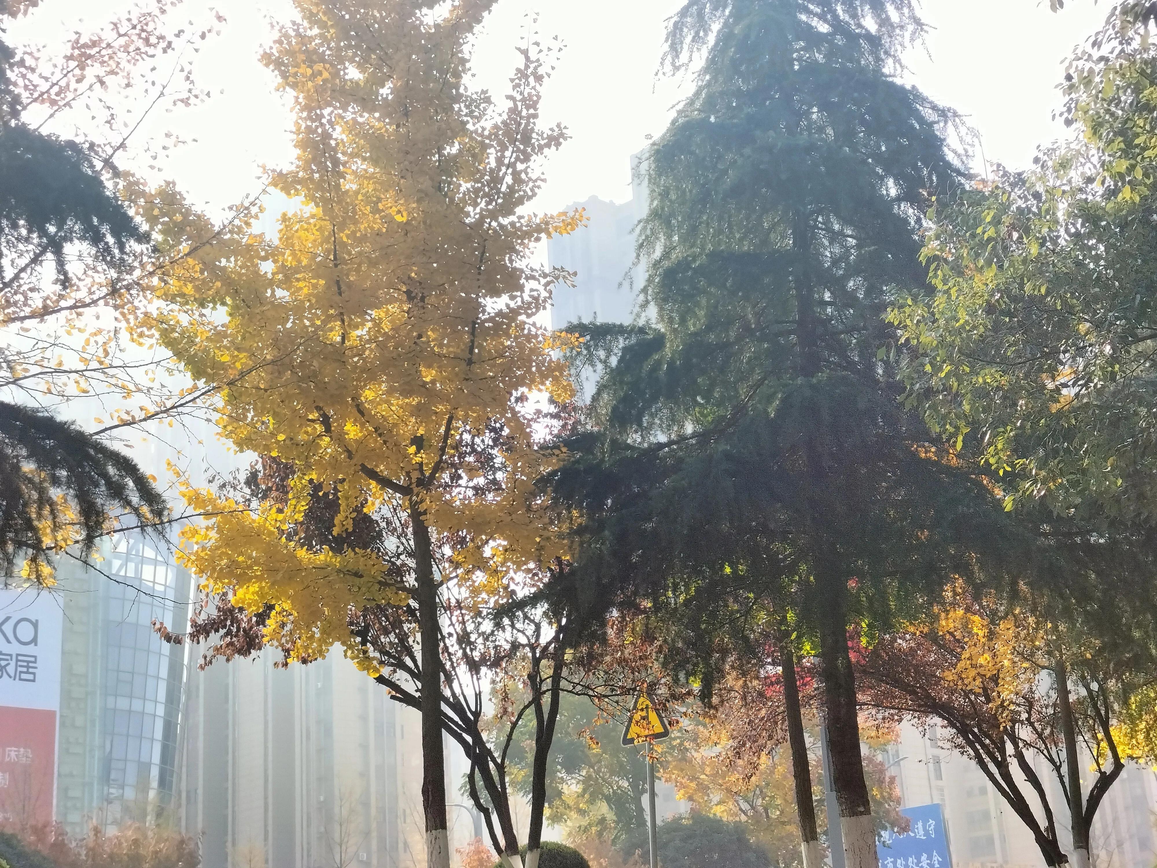 创业成功人士必备能力,创业人必须具备的能力