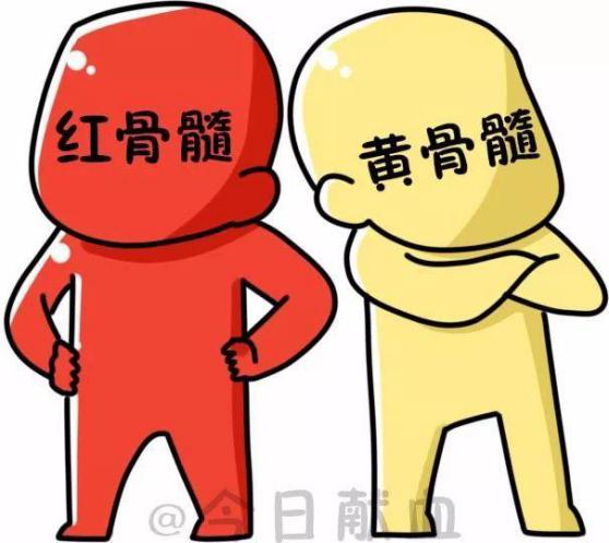 你的骨头也会变胖吗,你的骨头变化