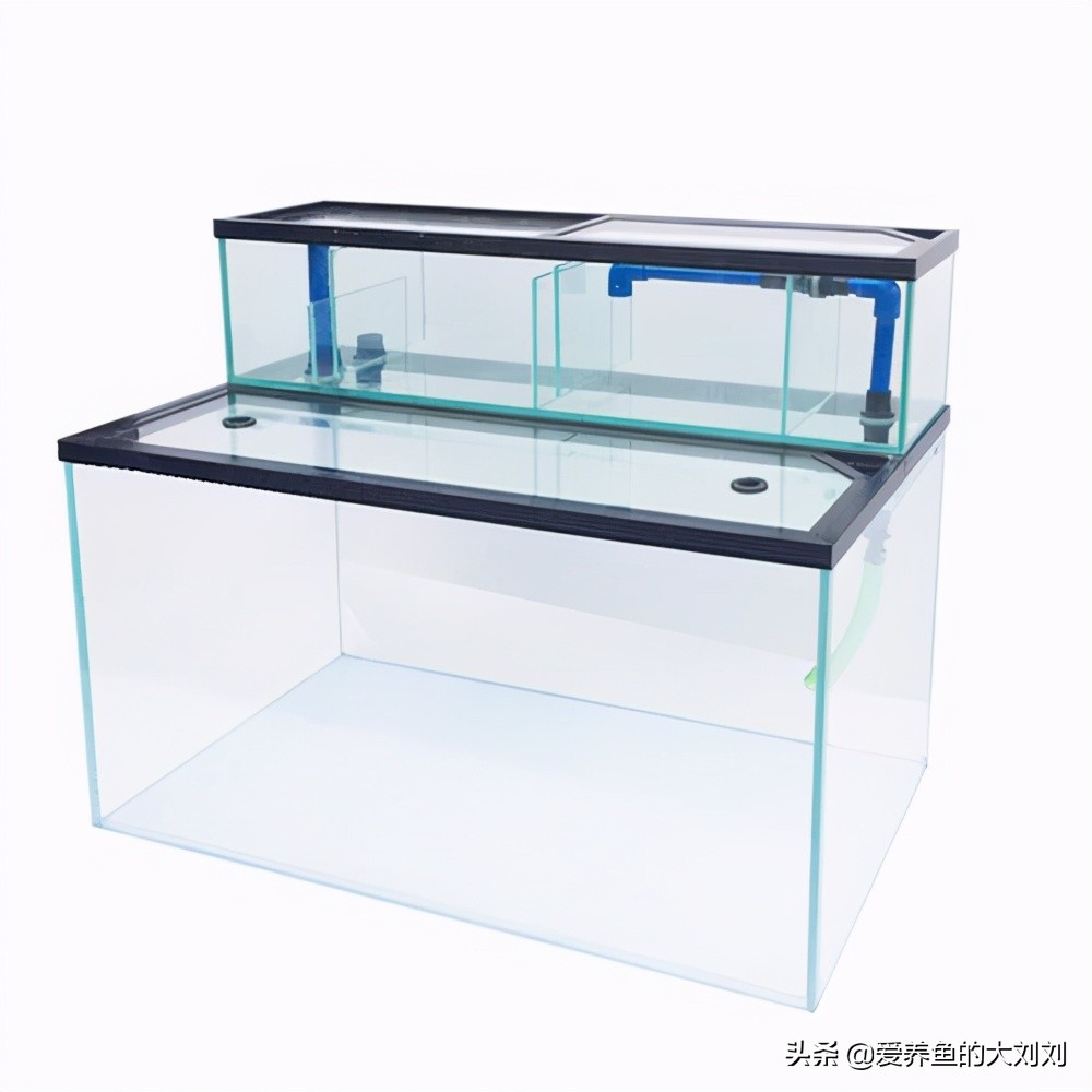 鱼缸过滤器用哪一种过滤的比较好,鱼缸过滤器用哪一种比较好又省心