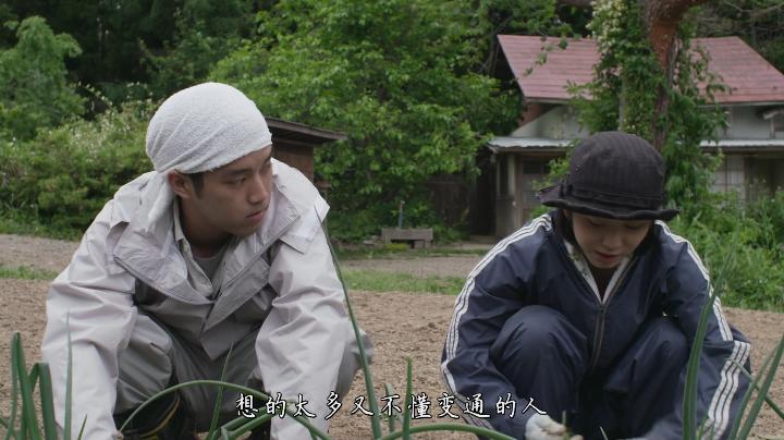 小森林治愈电影,日本美食电影小森林