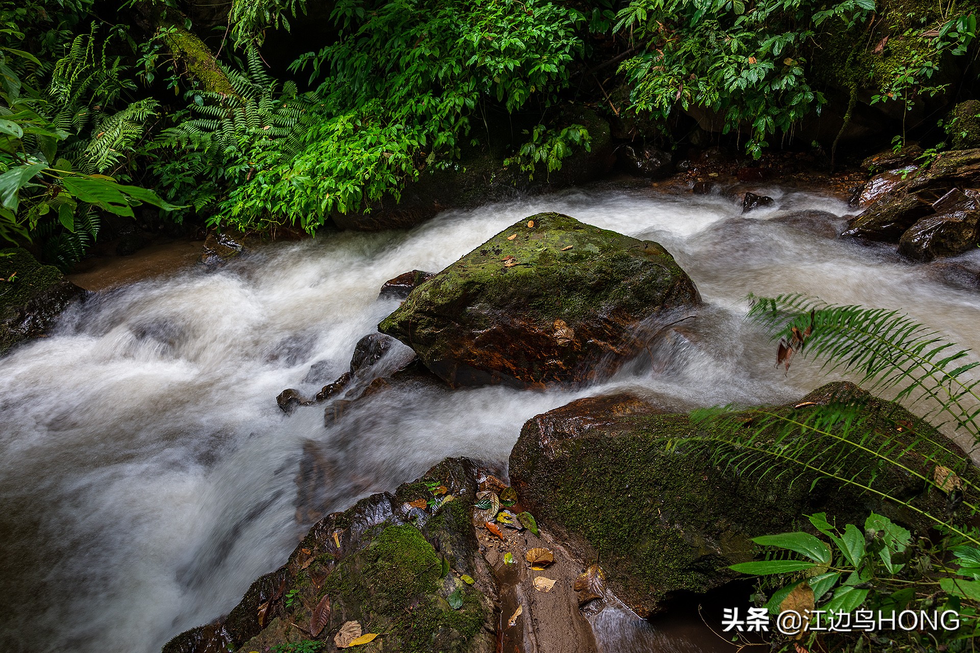 溪水潺潺心旷神怡,美景溪水潺潺