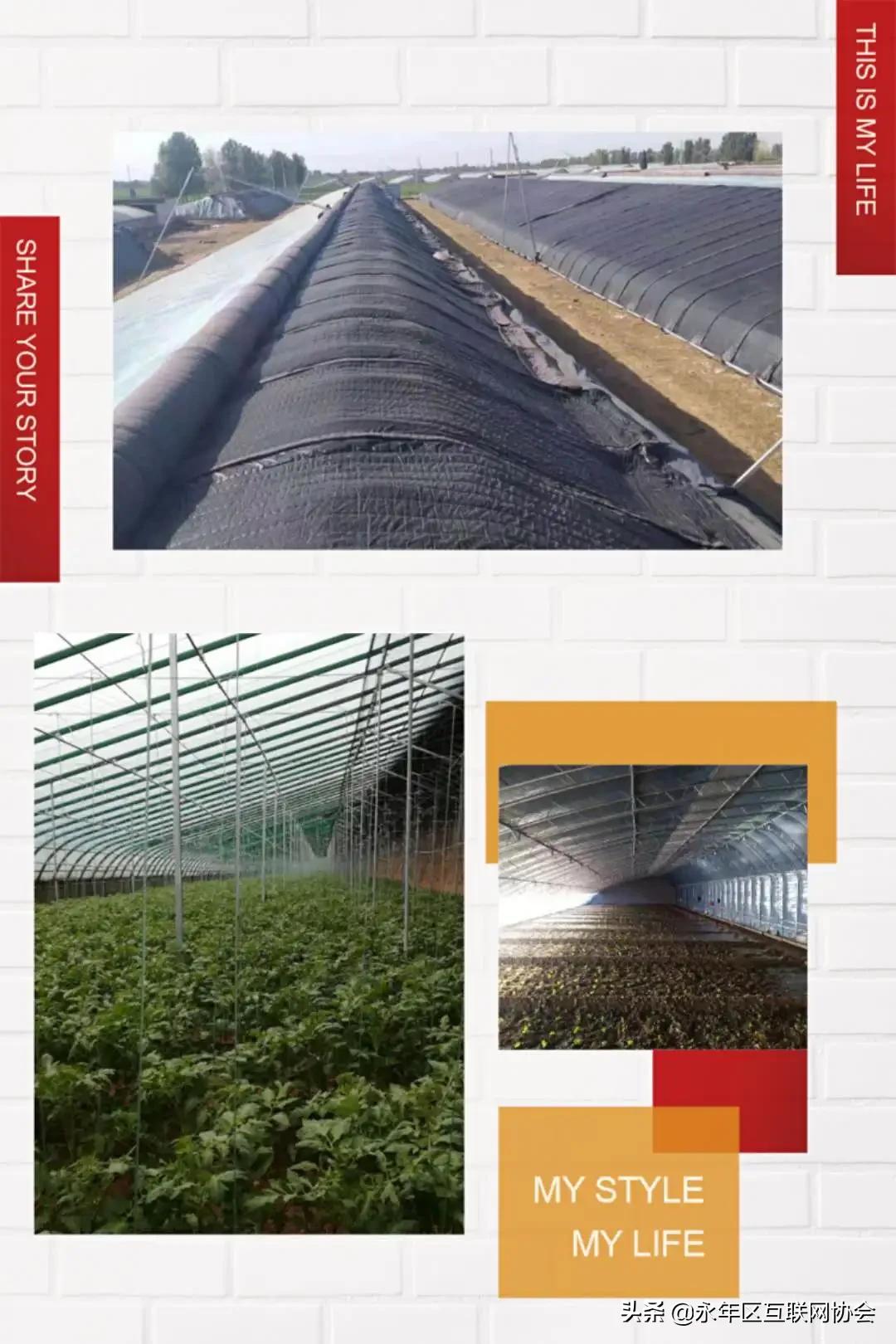 2024年乡村建设工作思路,乡村建设5年行动方案全文