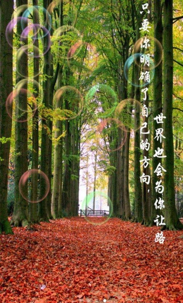 高中生可以谈恋爱吗辩论,高中生谈恋爱怎么沟通