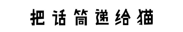 兔耳朵猫：我那么努力，就是为了能跟你永远在一起