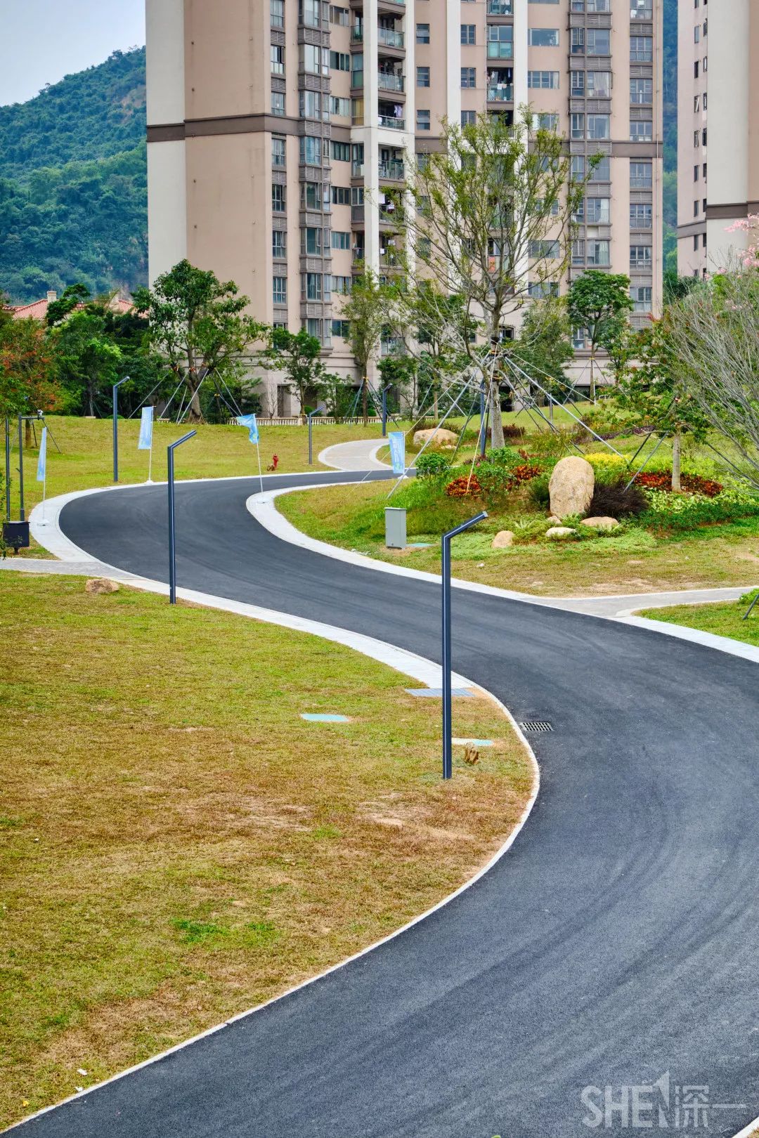 龙华新公园在哪里,深圳龙华区免费的公园