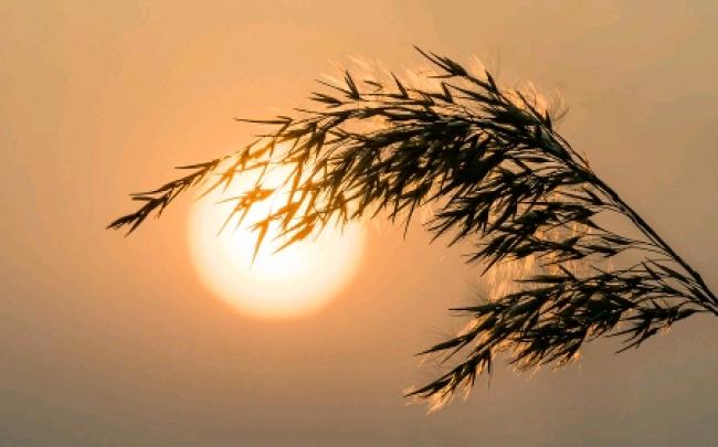 心态好的五种习惯,心态好的人都有这三种习惯