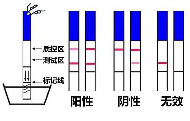 移植胚胎五大“常见”问题，打消你的疑虑