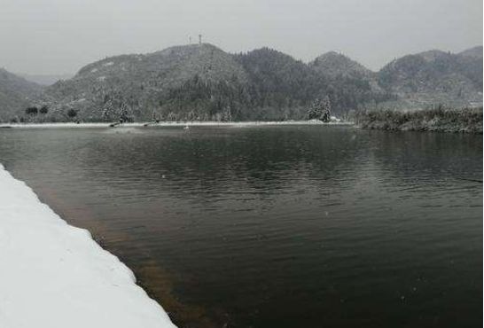 水霉病最快的治疗方法,水霉病治疗最佳方法