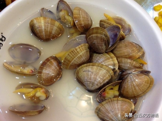 青岛红岛小蛤蜊,蛤蜊疙瘩汤青岛