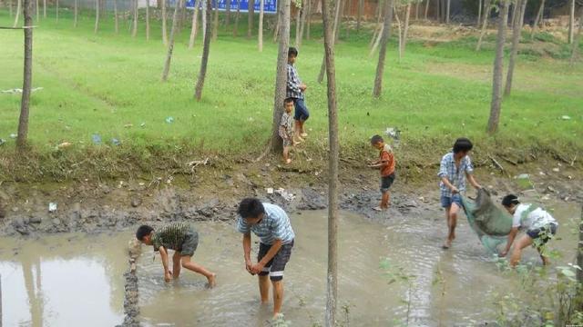 乡下往事作文,乡下往事微电影