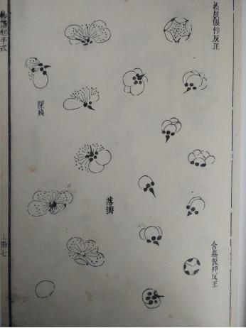 写意梅花画法技法教程视频,小写意花瓶里的梅花的画法