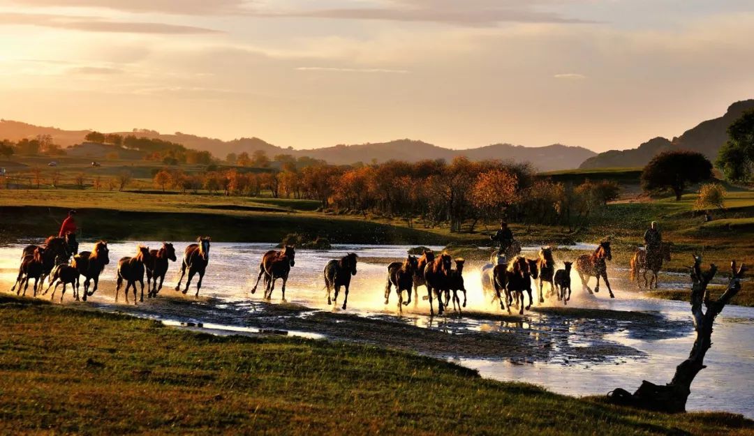 北京周边美丽的地方,初秋北京周边适合去的景点推荐