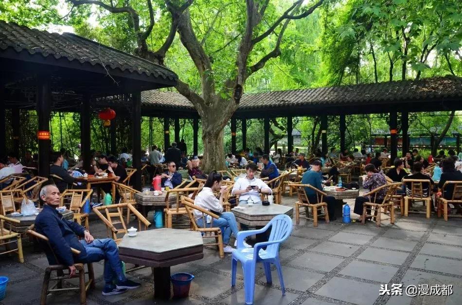 涨知识了所有视频,涨知识的第一个问题