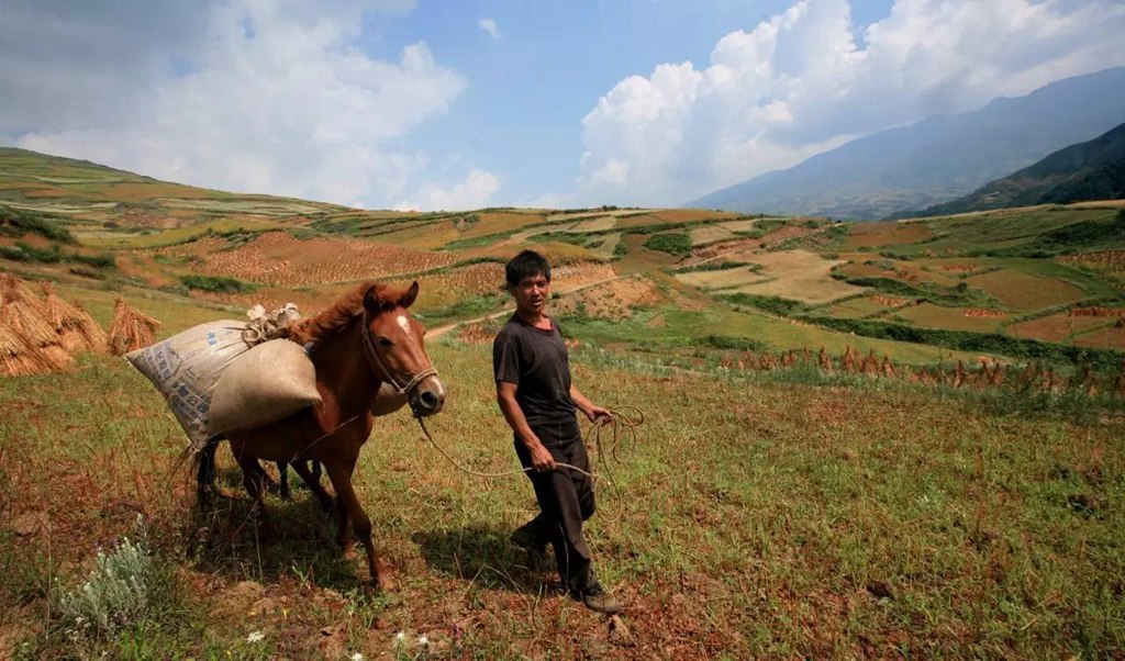 国际旅游摄影推荐,大凉山摄影攻略
