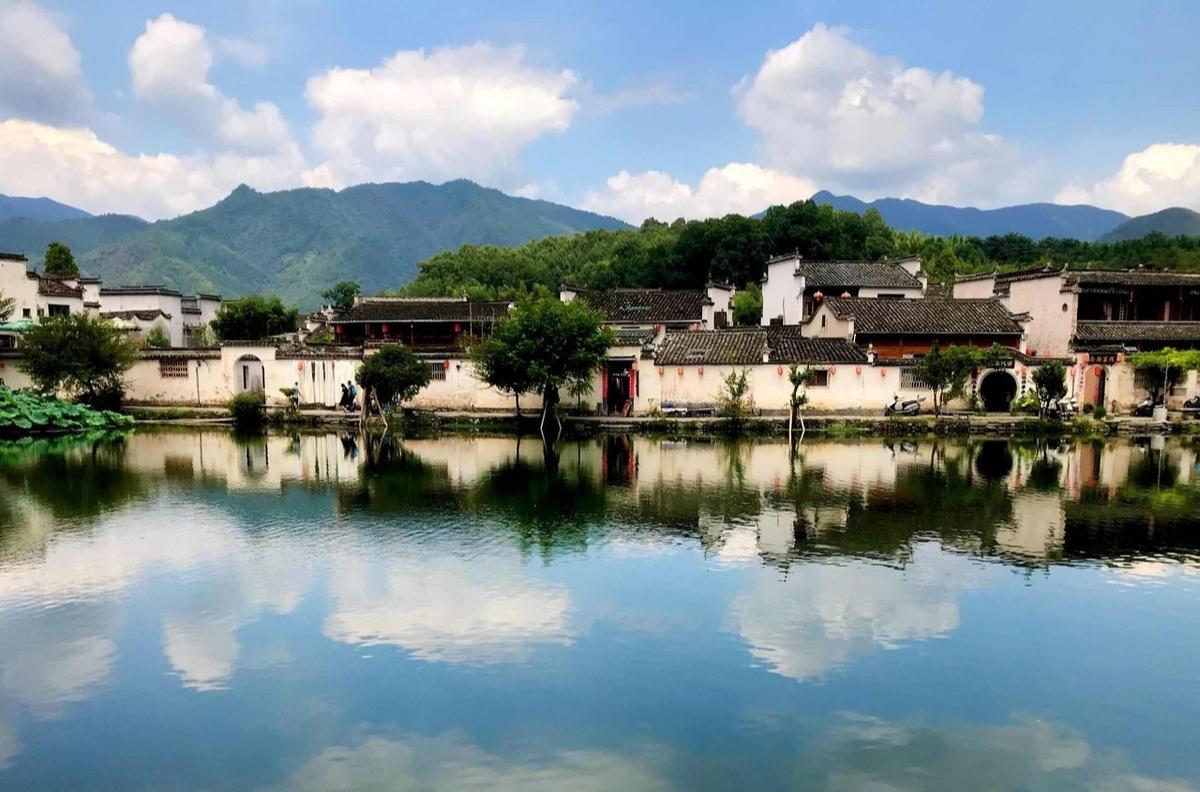 世外桃源绿草如茵百花争艳,世外桃源鸟语花香人间仙境