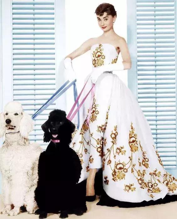 v开头奢侈女装品牌,成都ifs女装奢侈品牌