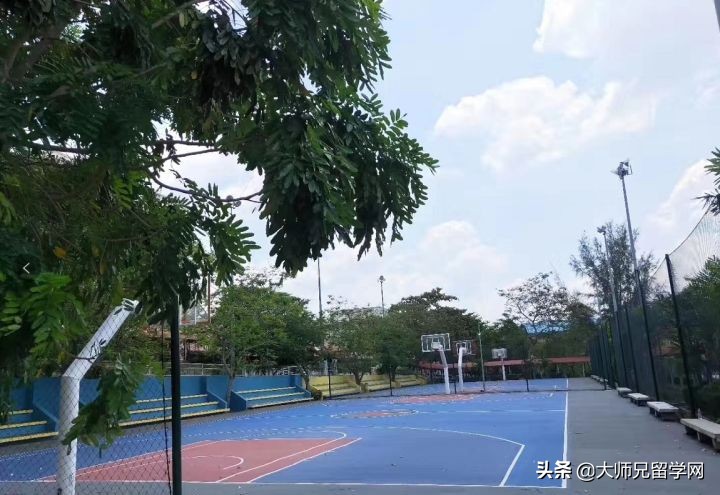 别怪我没提醒你，千万别来英迪大学!