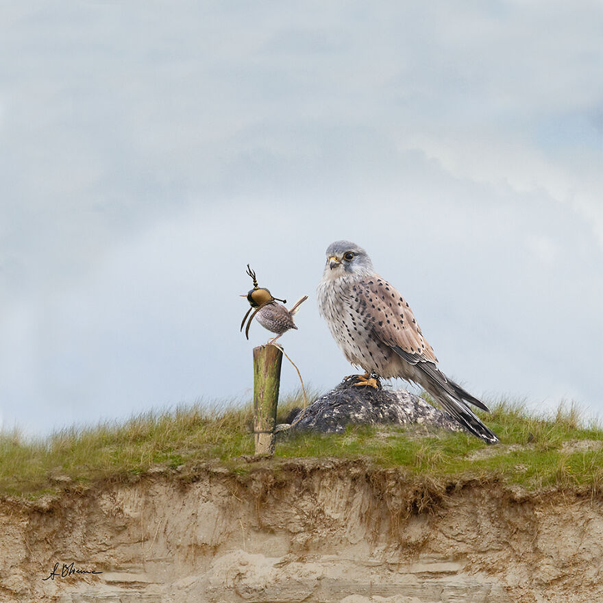 创意ps合成视频大全,ps教程创意合成脑洞大开海报教程