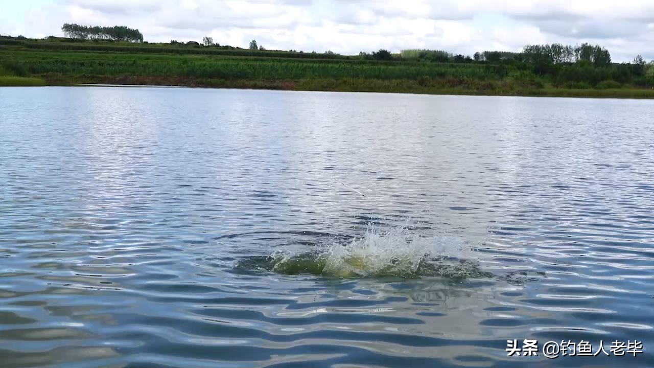 春节什么风好钓鱼,北风转南风适合钓鱼吗