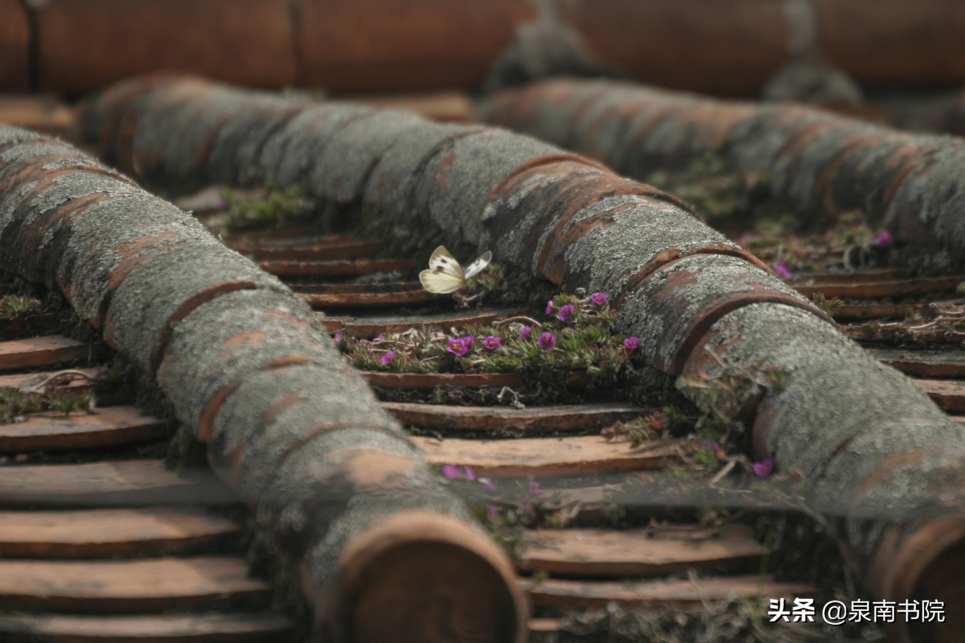 泉州古巷图,福建省泉州市寻古村