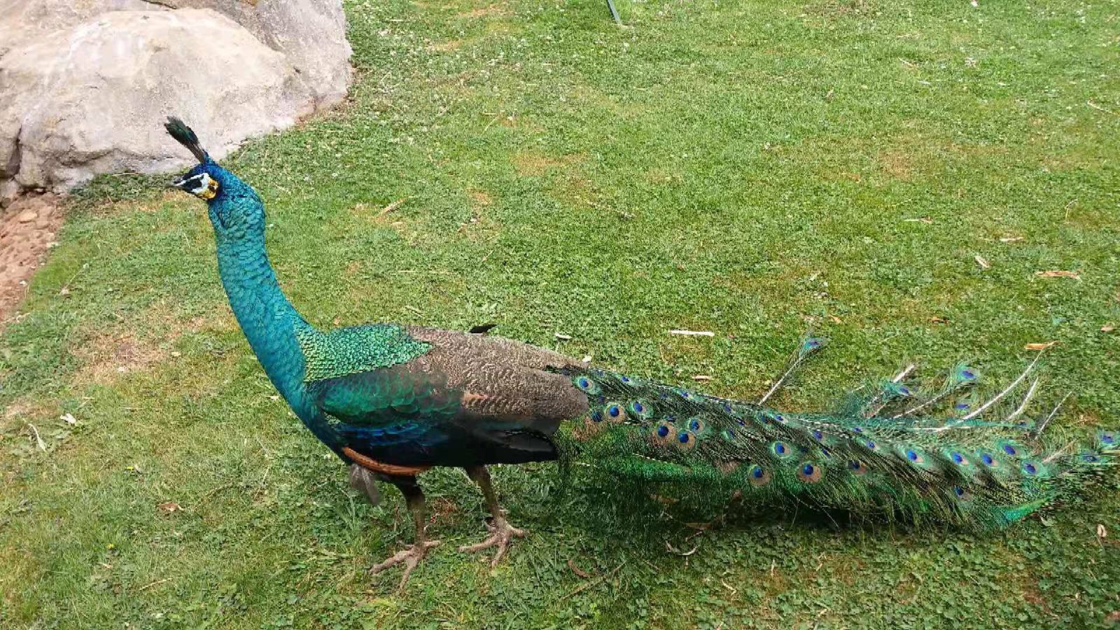 昆明有什么好玩的景点推荐一下,昆明有些什么好玩的景点推荐一下