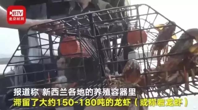 龙虾没人吃、奢侈品没人买、蒙娜丽莎没人看,全世界等中国人出门消费!