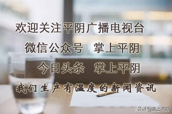 平阴新闻|乡村治理领域扫黑除恶专项行动再推进；昨日玫瑰花冠收购价格为4.00元/斤