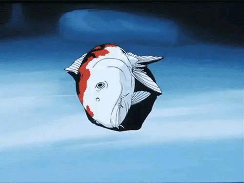 锦鲤十一月好运,十一月锦鲤运气