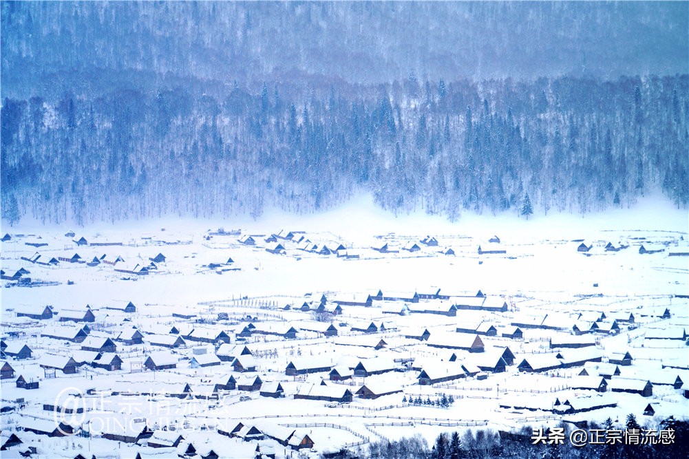 诗与远方：冬游喀纳斯