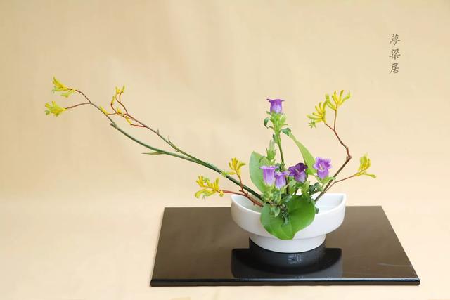 周末去哪儿小说,周末去哪儿玩免费景点