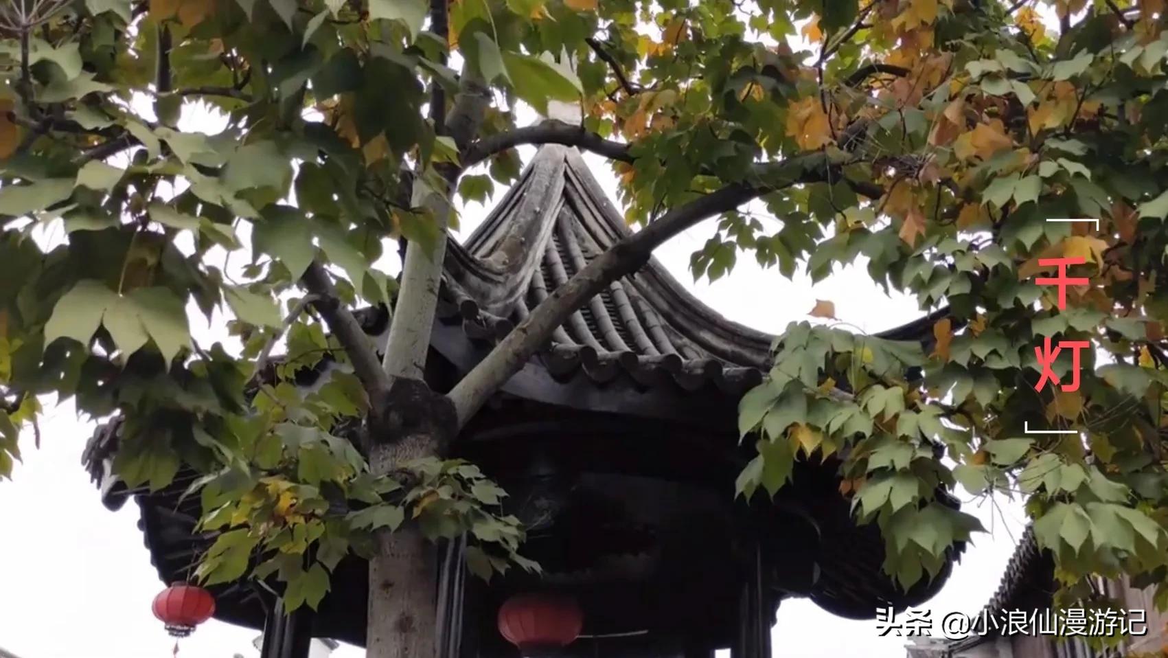 苏州春节免费景点有哪些,苏州景区免费景点大全