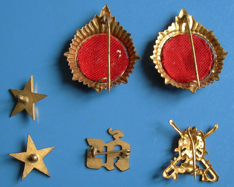 泰国皇家*队军**徽章很有特色，王冠标志象征王权，巴育都不敢不戴