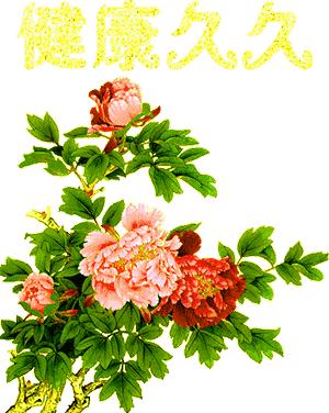 久久的挂念久久的祝福,久久的欢乐久久的祝福原唱