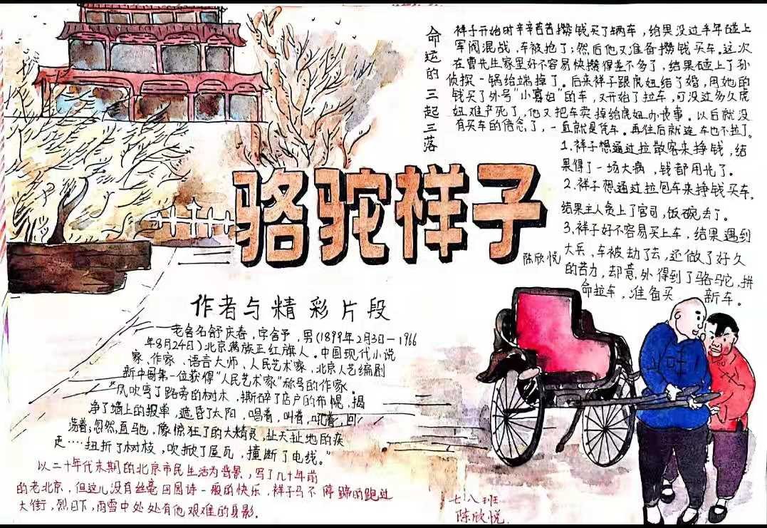 读名著学写作小学生,读古典名著品味人生主题小报