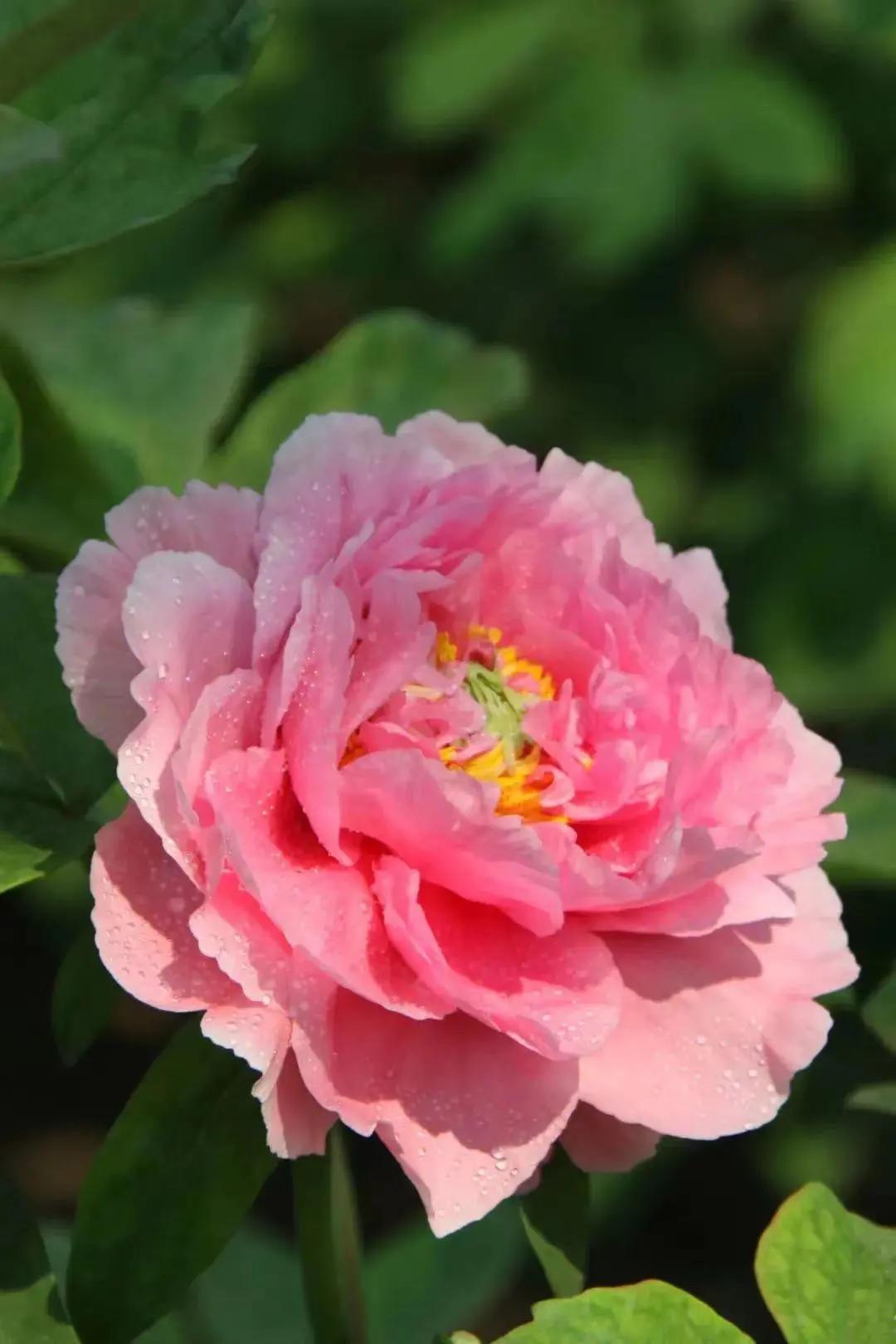 《五一青岛游攻略》.doc！快乐“青”球在这里，现在就出发！