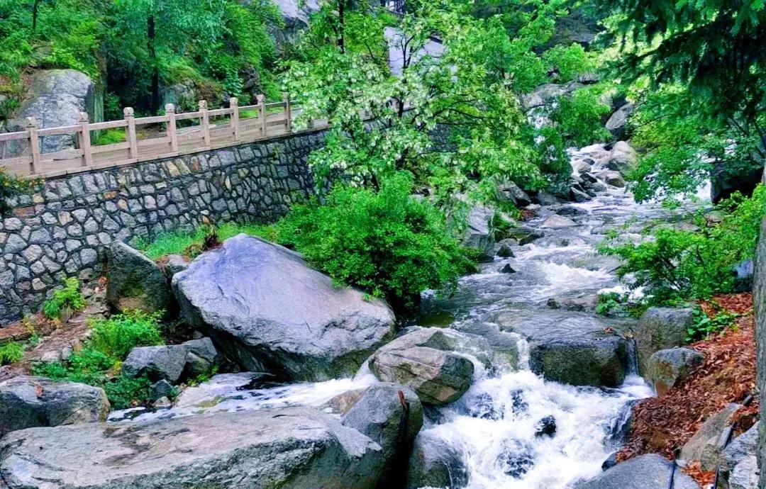 媲美四川九寨沟！山东这些地方野趣十足，承包夏天90%的清凉！