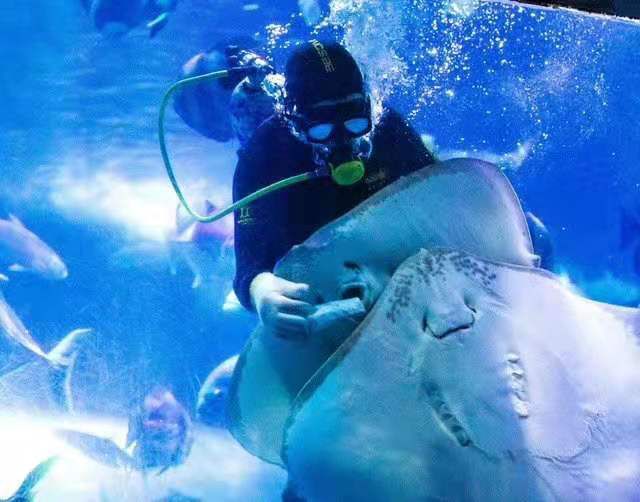 南京海底世界小朋友要票吗,南京海底世界99元一大一小套票