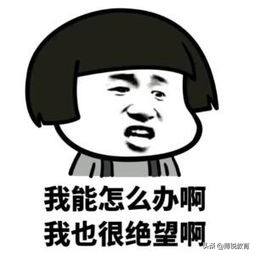 nus硕士申nus博士难吗,留学条件不够怎么提升