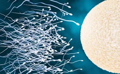 试管婴儿要问医生什么,试管婴儿女性都需要经历什么