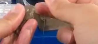 矶钓竿海钓用法视频教程,海钓矶竿钓底正确绑法