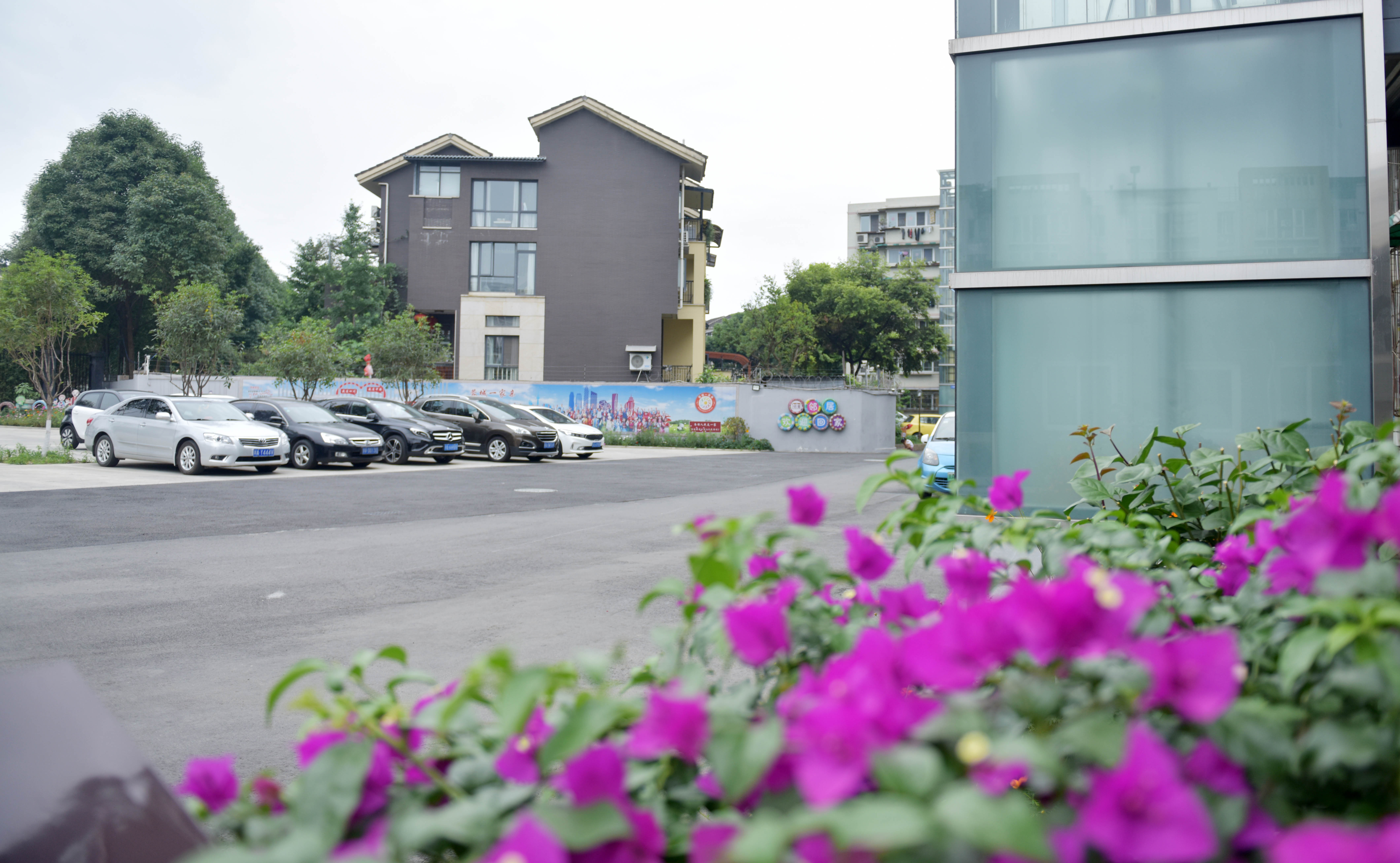 双流区gdp2021,双流百强区排名