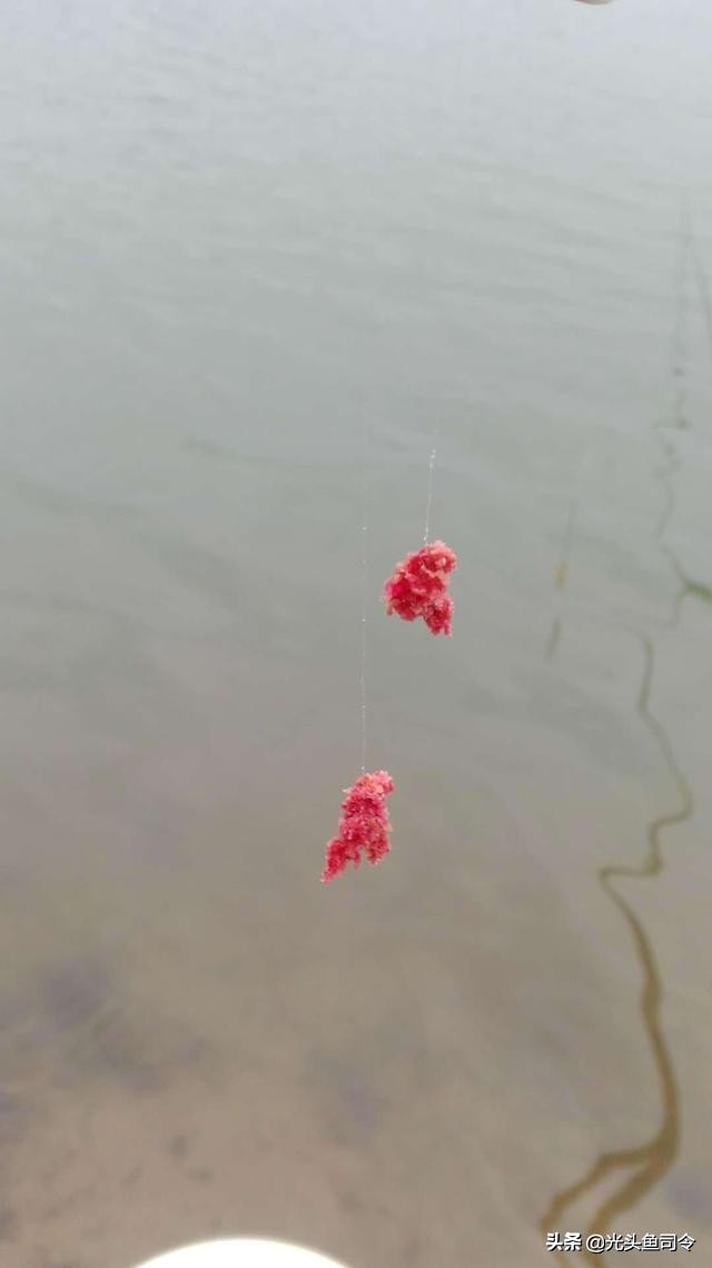 初夏野钓鲫鱼七星漂,初夏野钓钓鲫鱼